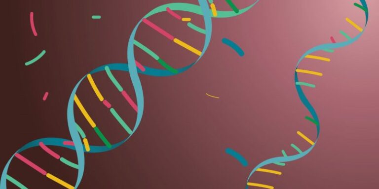 nucleic acids