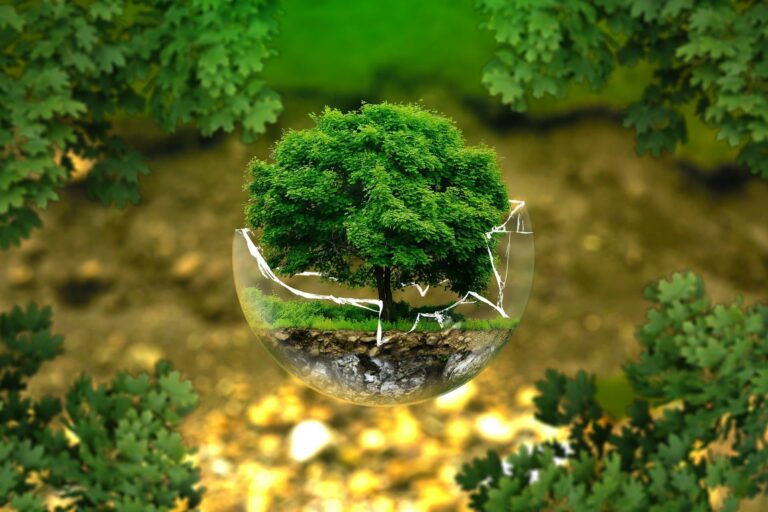 Tree in a crystal globe